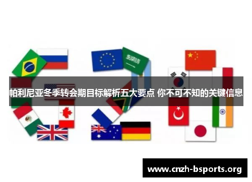 帕利尼亚冬季转会期目标解析五大要点 你不可不知的关键信息