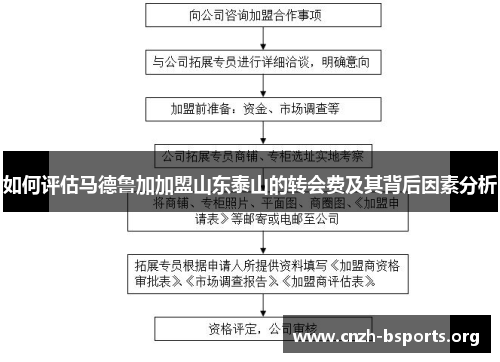 如何评估马德鲁加加盟山东泰山的转会费及其背后因素分析