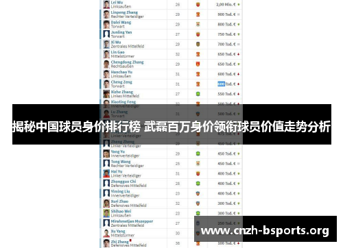 揭秘中国球员身价排行榜 武磊百万身价领衔球员价值走势分析