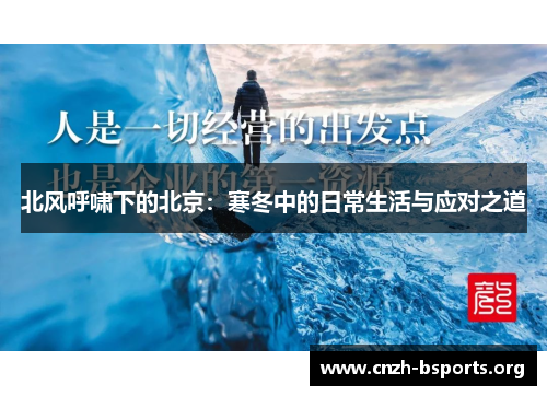 北风呼啸下的北京：寒冬中的日常生活与应对之道