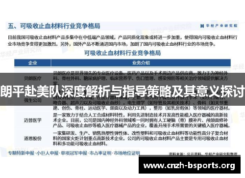 朗平赴美队深度解析与指导策略及其意义探讨
